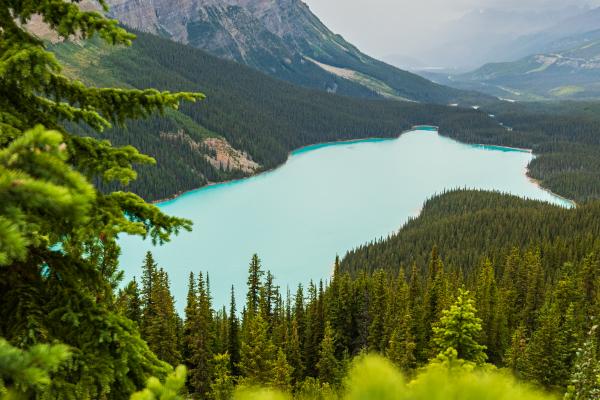 Cuenca endorreica: qué es, causas, evolución y ejemplos