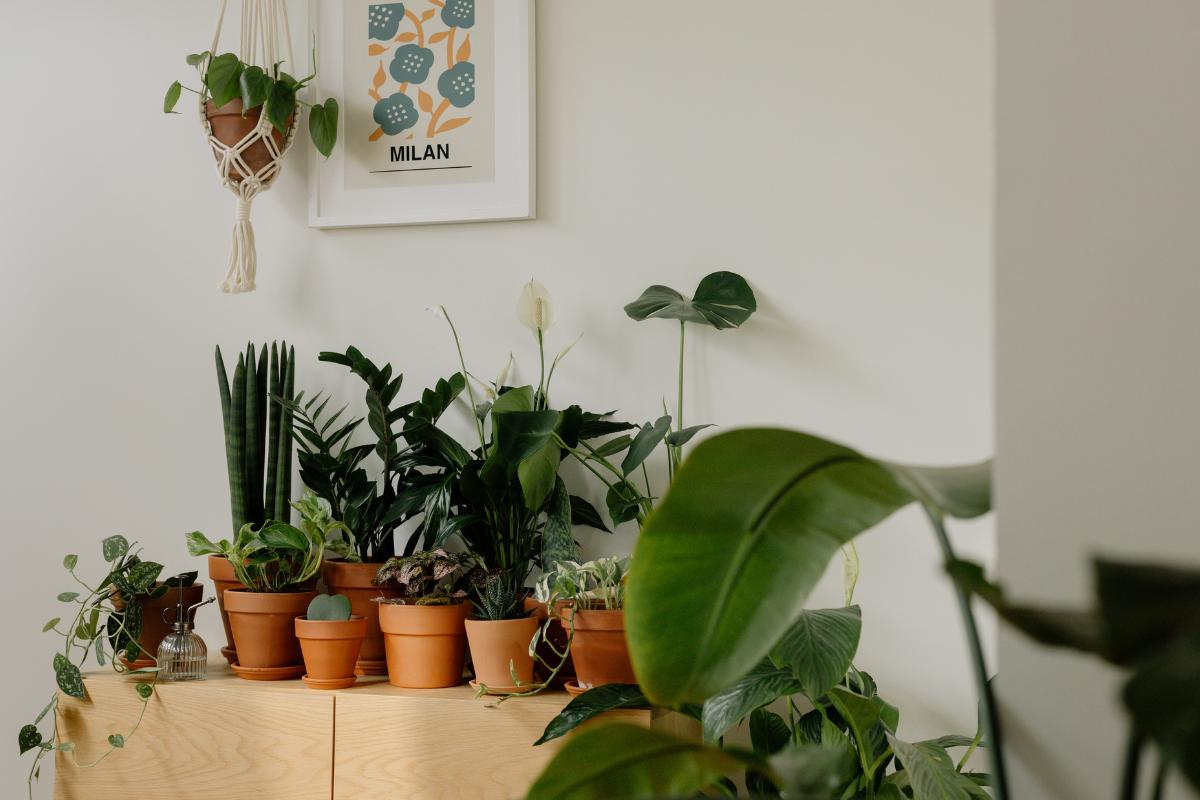 Cómo refrescar la casa sin aire acondicionado