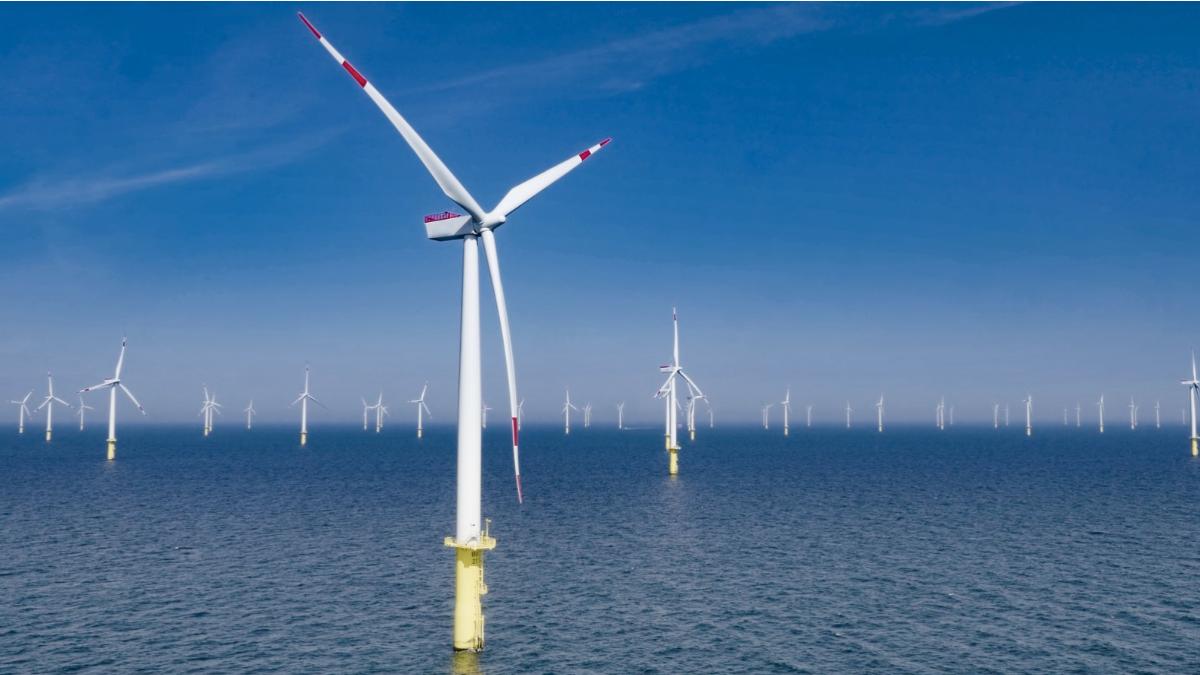 Así se genera electricidad en medio del mar: cómo funciona la energía eólica marina