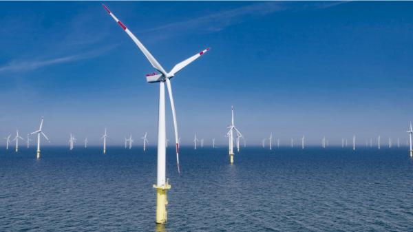 Así se genera electricidad en medio del mar: cómo funciona la energía eólica marina
