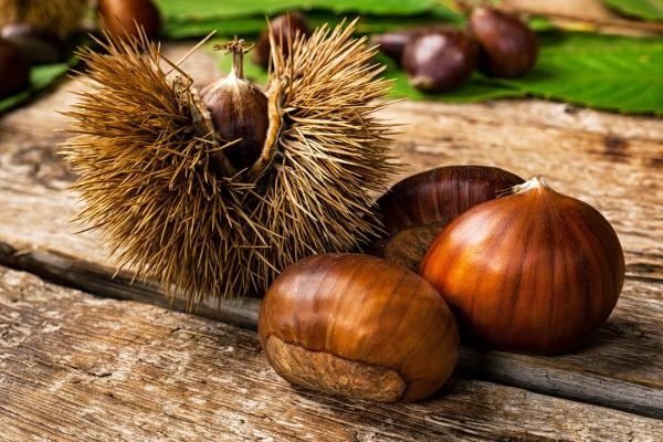 Frutas de otoño - Frutos secos de otoño