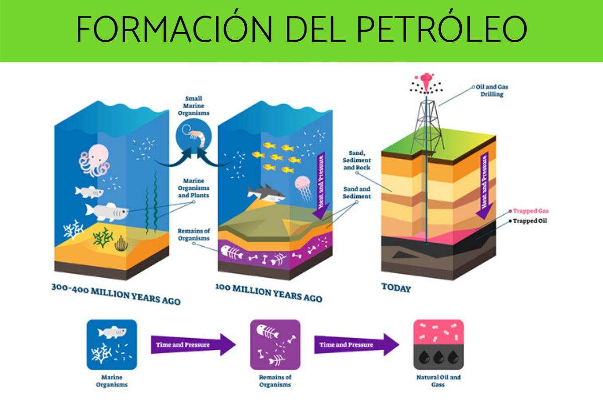 Cómo se forma el petróleo