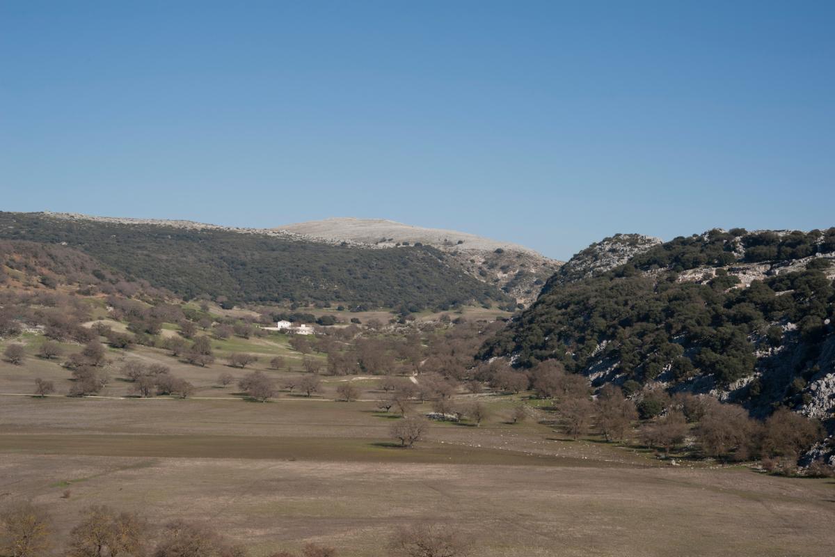 Poljé: qué es, características e importancia