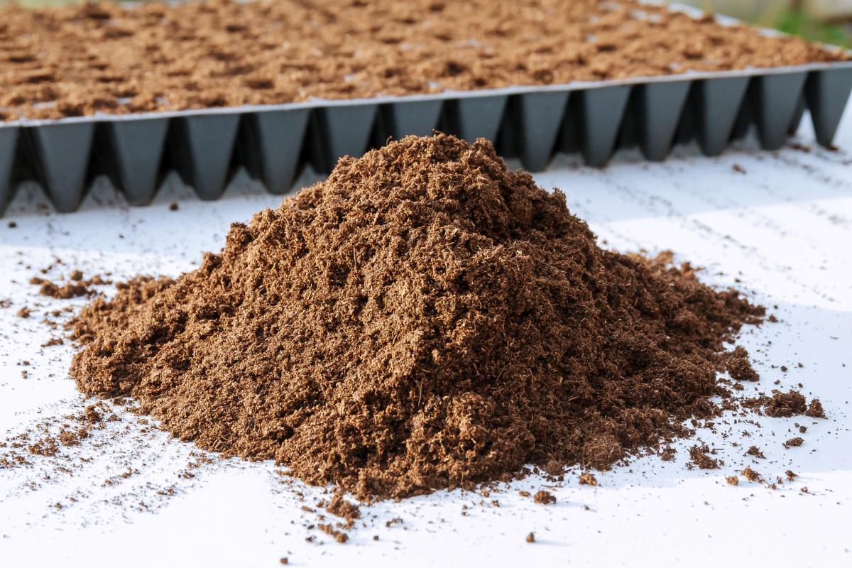 Turba: qué es, tipos y cómo usarla