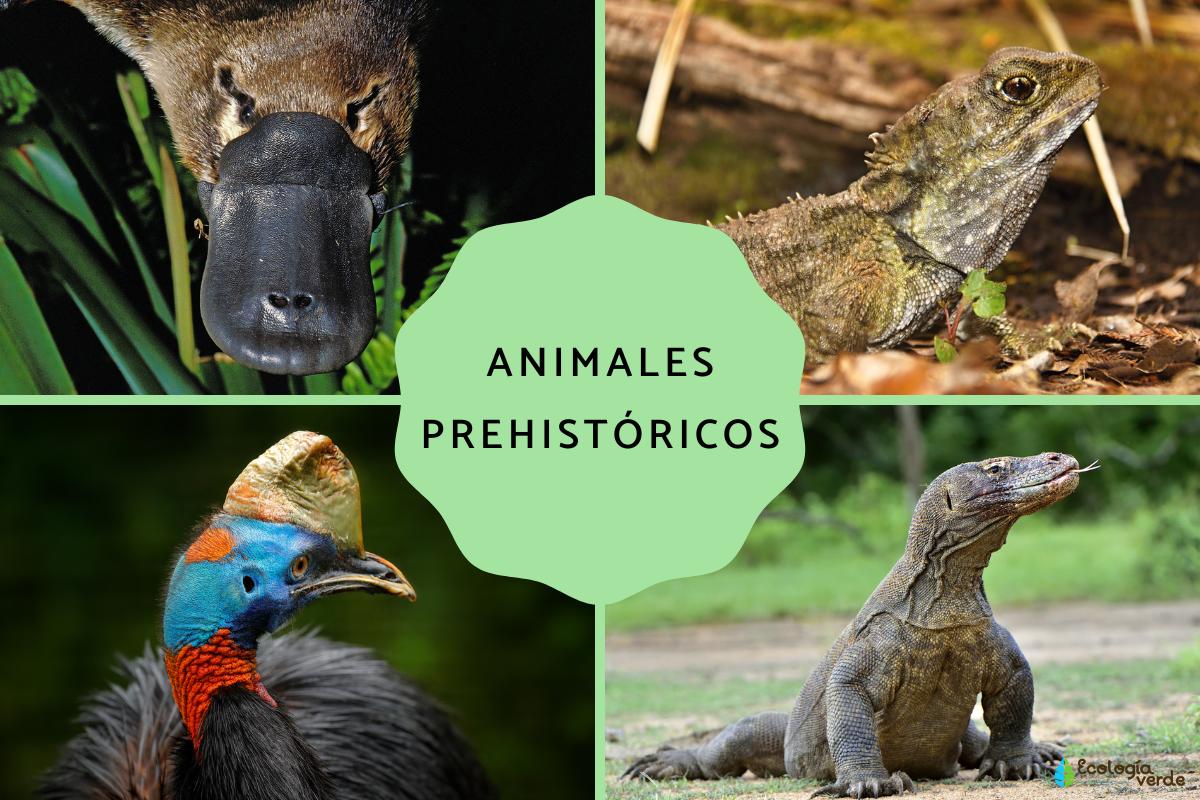 Animales prehistóricos: ejemplos de especies extintas y vivas