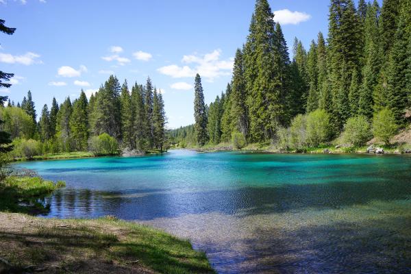 Lagunas: qué son, cómo se forman y tipos - Qué son las lagunas y sus características