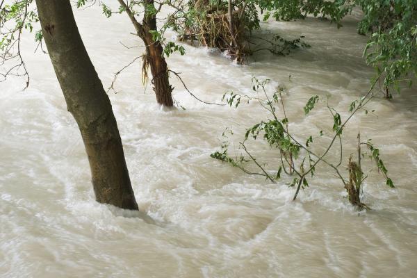 Fenómenos meteorológicos extremos: qué son, causas, tipos y ejemplos - Qué son los fenómenos meteorológicos extremos