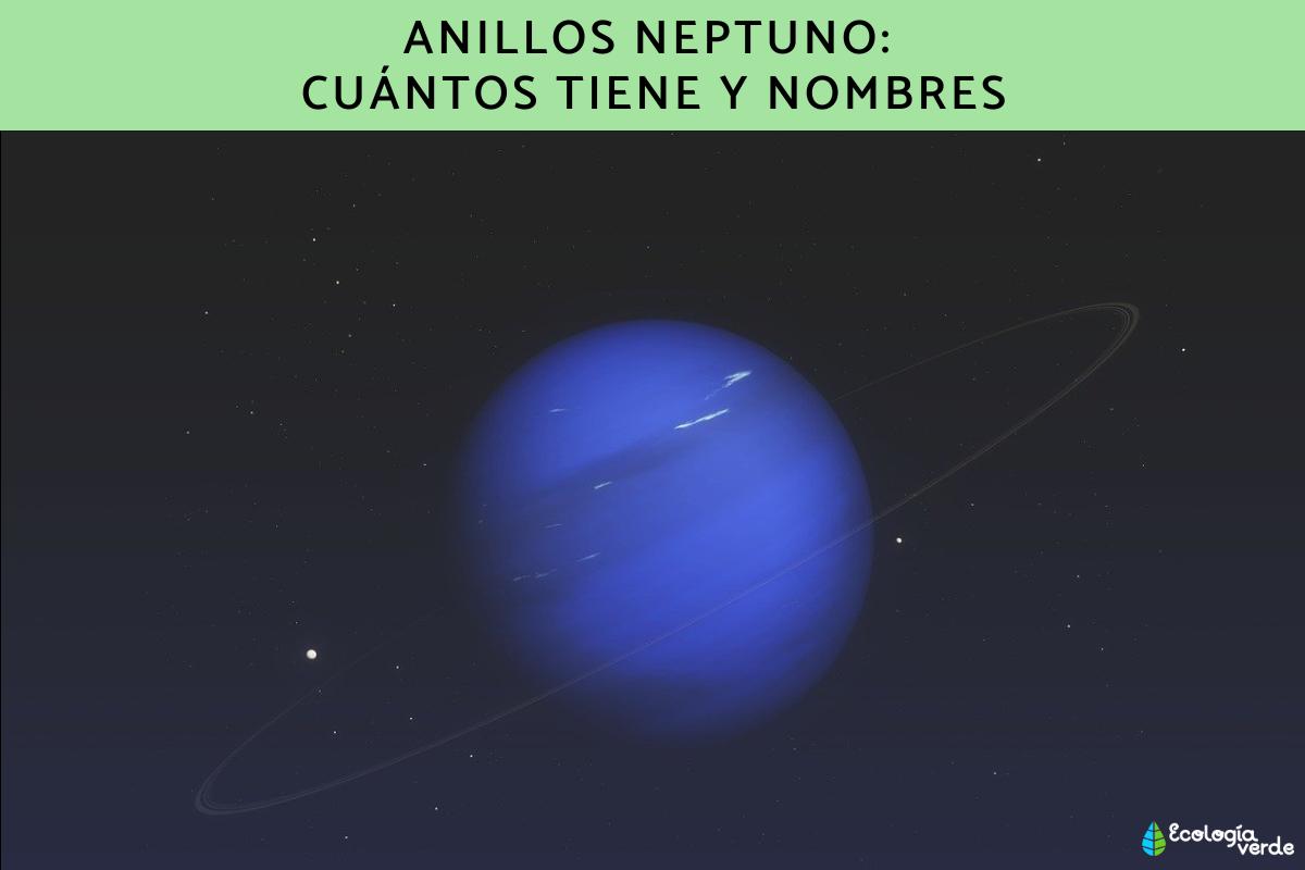 Anillos Neptuno: cuántos tiene y nombres