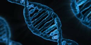 Diferencias entre el ADN y el ARN