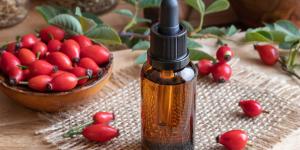 Rosa mosqueta: propiedades, para qué sirve y cómo usar su aceite