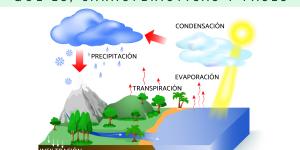 Ciclo del agua: qué es, características y fases