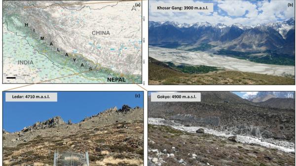 Preocupación entre los científicos: el Himalaya se está llenando de árboles y no es una buena noticia - Más árboles, menos biodiversidad: la paradoja del Himalaya que preocupa a los científicos