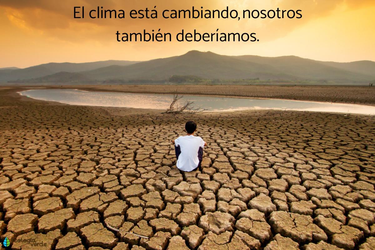 Frases del cambio climático