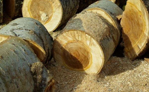 Ejemplos de cambios físicos de la materia - Ejemplos fáciles de cambios físicos de la materia