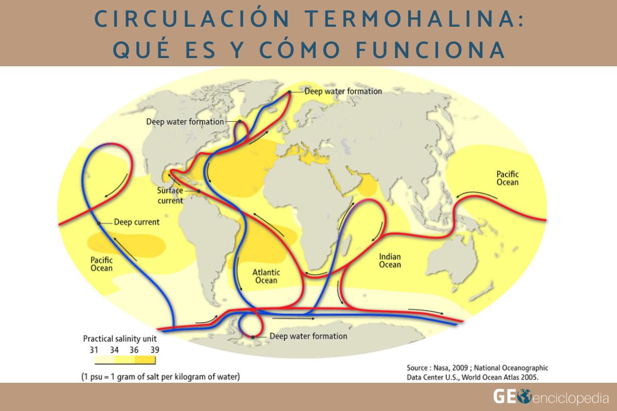 Circulación termohalina: qué es y cómo funciona