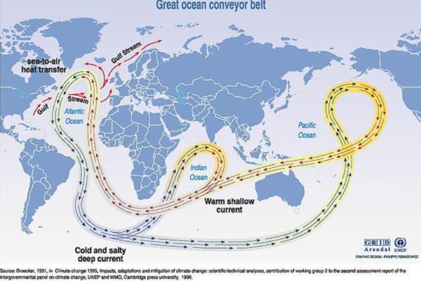 Circulación termohalina: qué es y cómo funciona - Cómo funciona el ciclo de la circulación termohalina