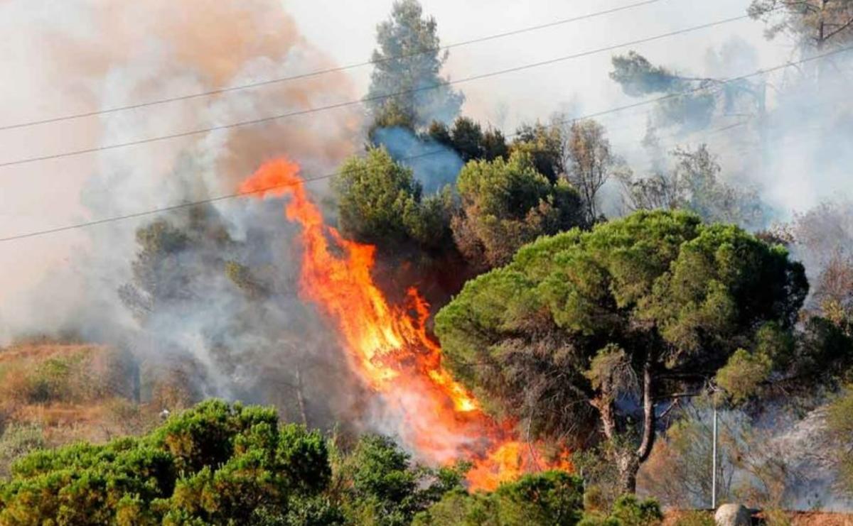 Consecuencias de los incendios forestales