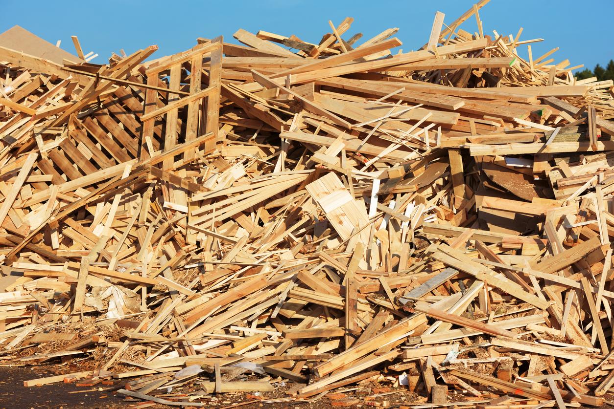 Cuánto TIEMPO tarda en DEGRADARSE la MADERA Degradación y más detalles Cuánto TIEMPO tarda en DEGRADARSE la MADERA Degradación y más detalles