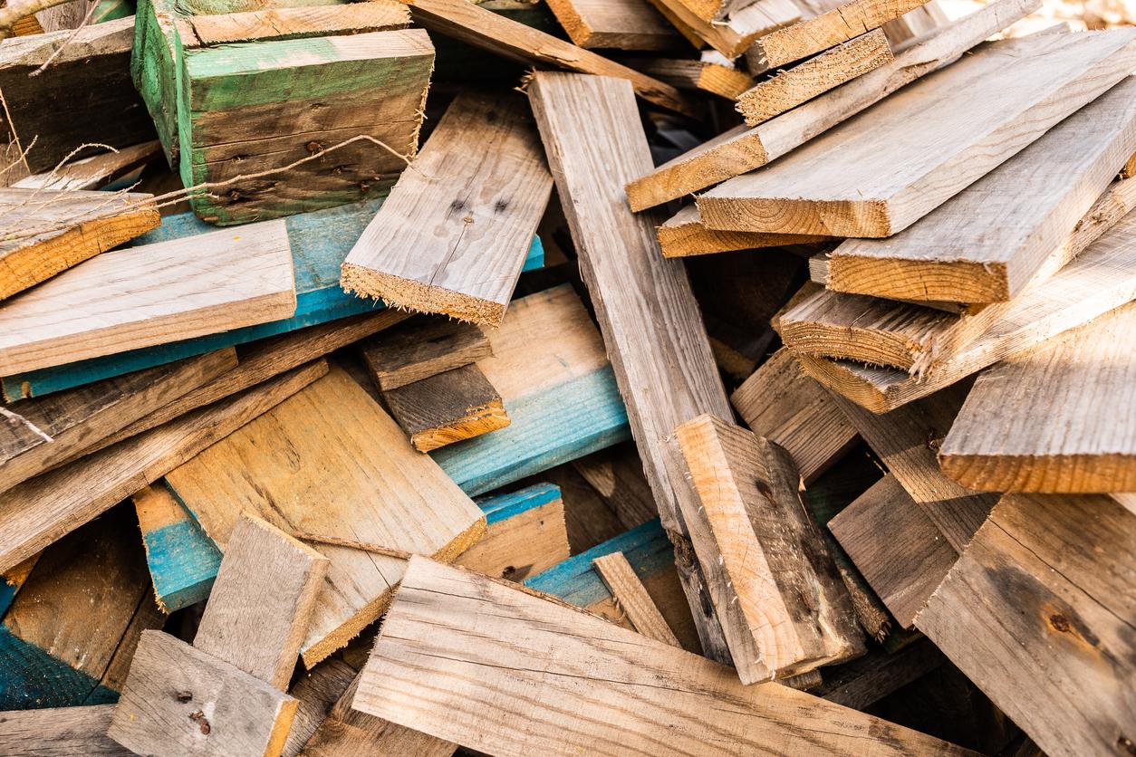 Cuánto TIEMPO tarda en DEGRADARSE la MADERA Degradación y más detalles Cuánto TIEMPO tarda en DEGRADARSE la MADERA Degradación y más detalles