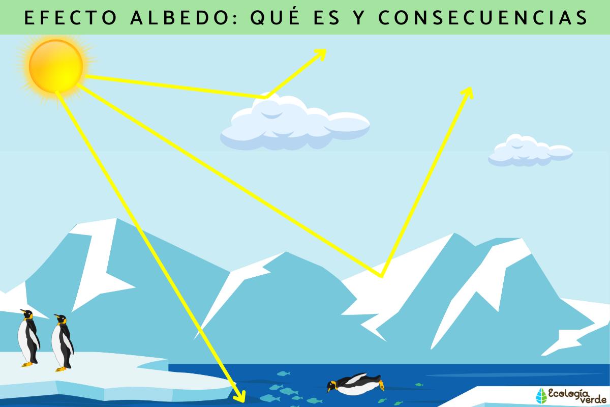 Efecto albedo: qué es y consecuencias
