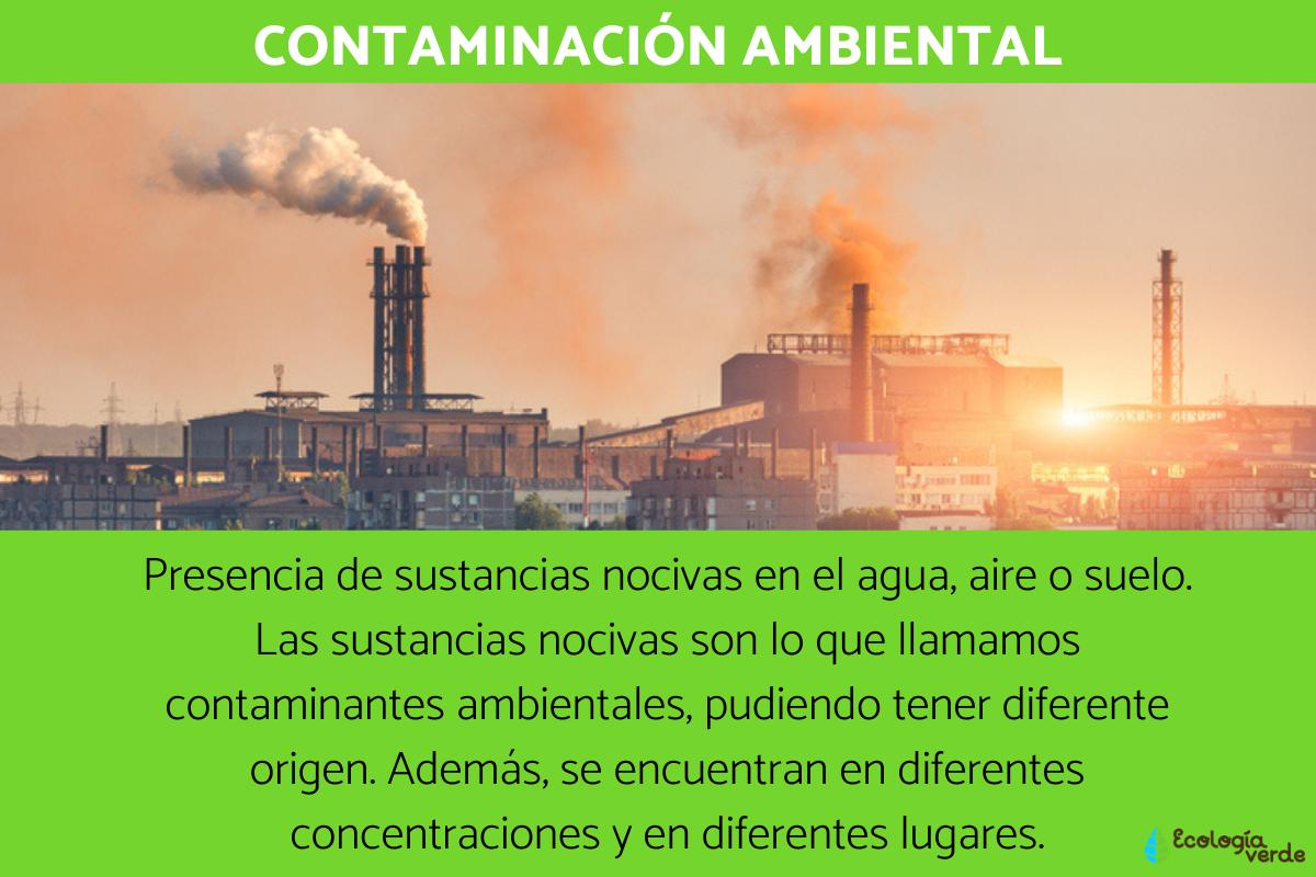 Qué es la contaminación ambiental