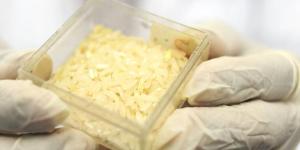 El arroz tiene arsénico