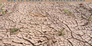 Sequía: qué es, causas y consecuencias