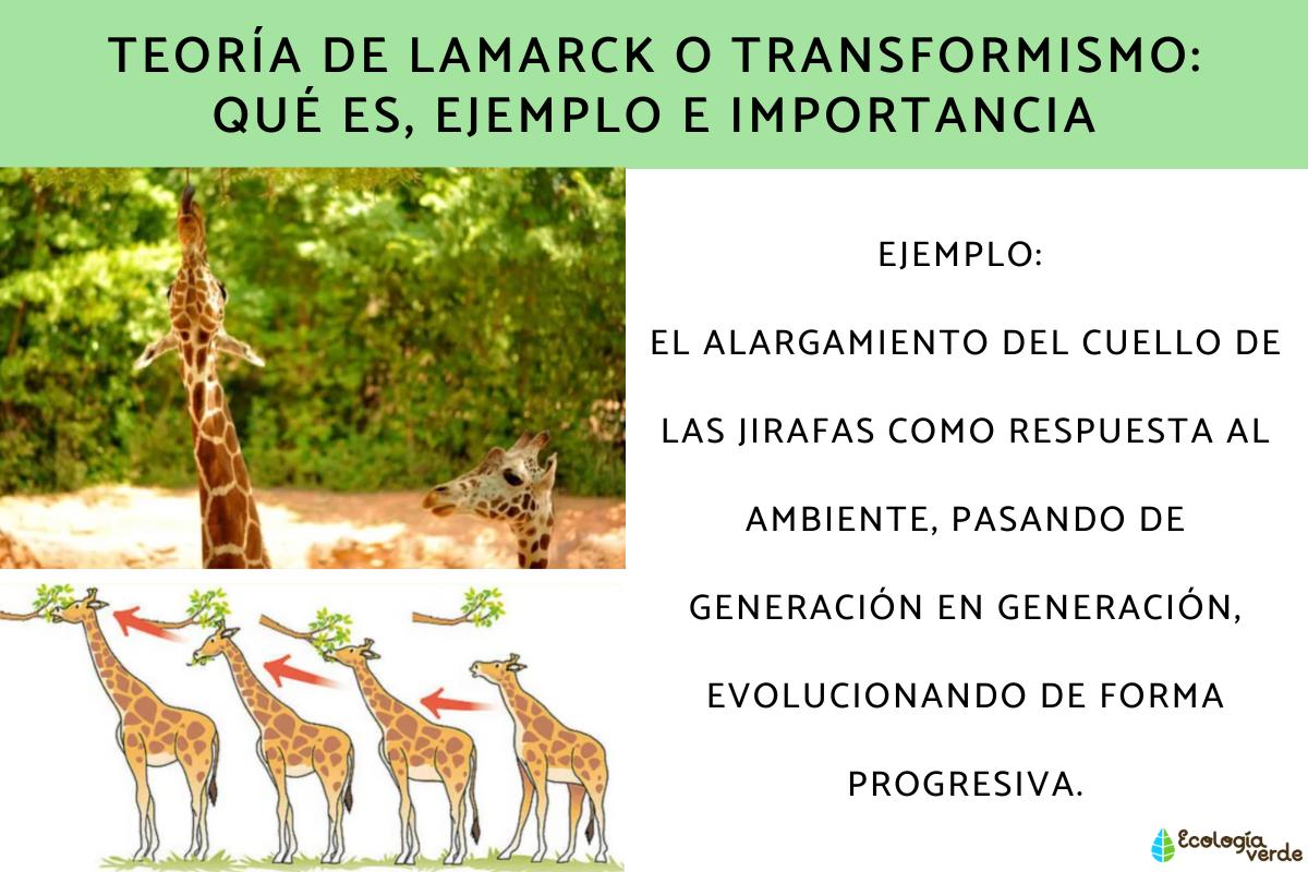 Teoría de Lamarck: qué es, ejemplo e importancia
