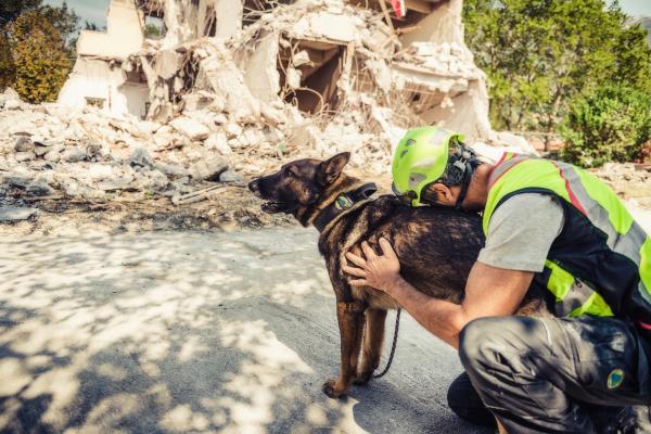 Terremoto: qué es, partes, cómo se produce, tipos y consecuencias - ¿Qué hacer en caso de un terremoto?