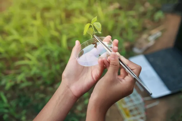 Maestría Internacional en Botánica y Taxonomía Vegetal