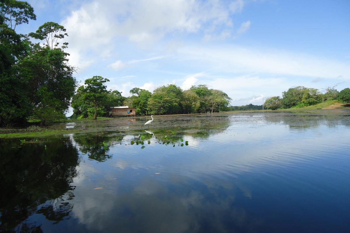 Qué son las aguas superficiales: definición y ejemplos