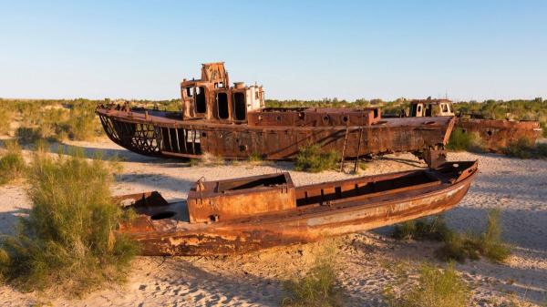 Hace 60 años, la Unión Soviética secó un mar entero para regar cultivos de algodón: hoy ya se han plantado arbustos en 1,7 millones de hectáreas para frenar la erosión y las tormentas de polvo - El reto de hacer germinar plantas en un suelo extremadamente salino