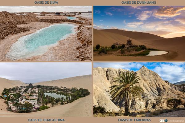 Oasis: qué es, formación y ejemplos - Ejemplos de oasis 