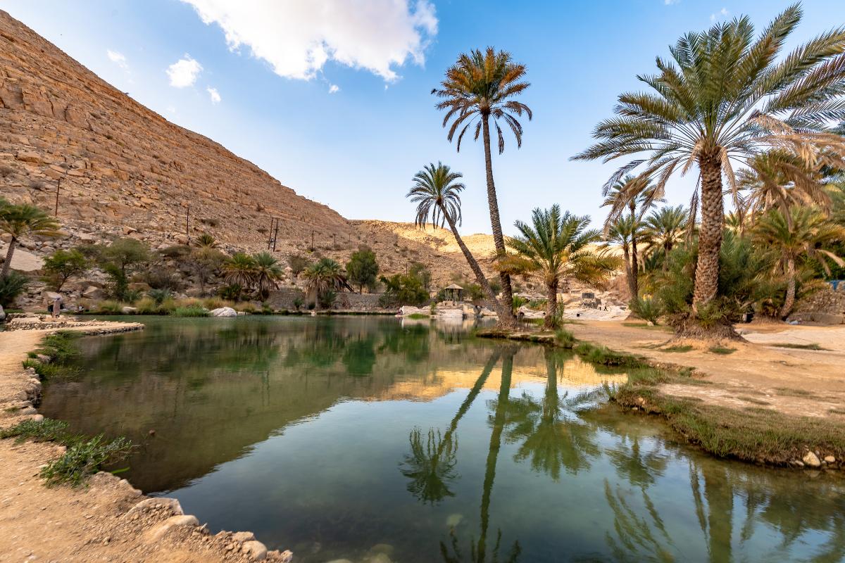 Oasis: qué es, formación y ejemplos