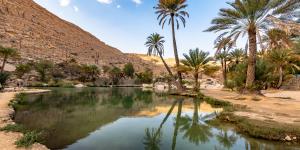 Oasis: qué es, formación y ejemplos