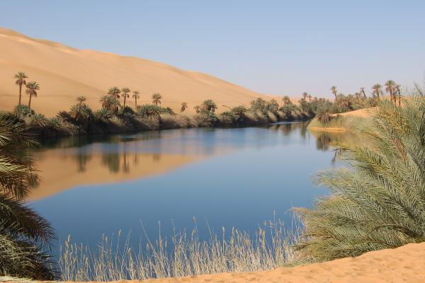 Oasis: qué es, formación y ejemplos - Qué es un oasis y sus tipos