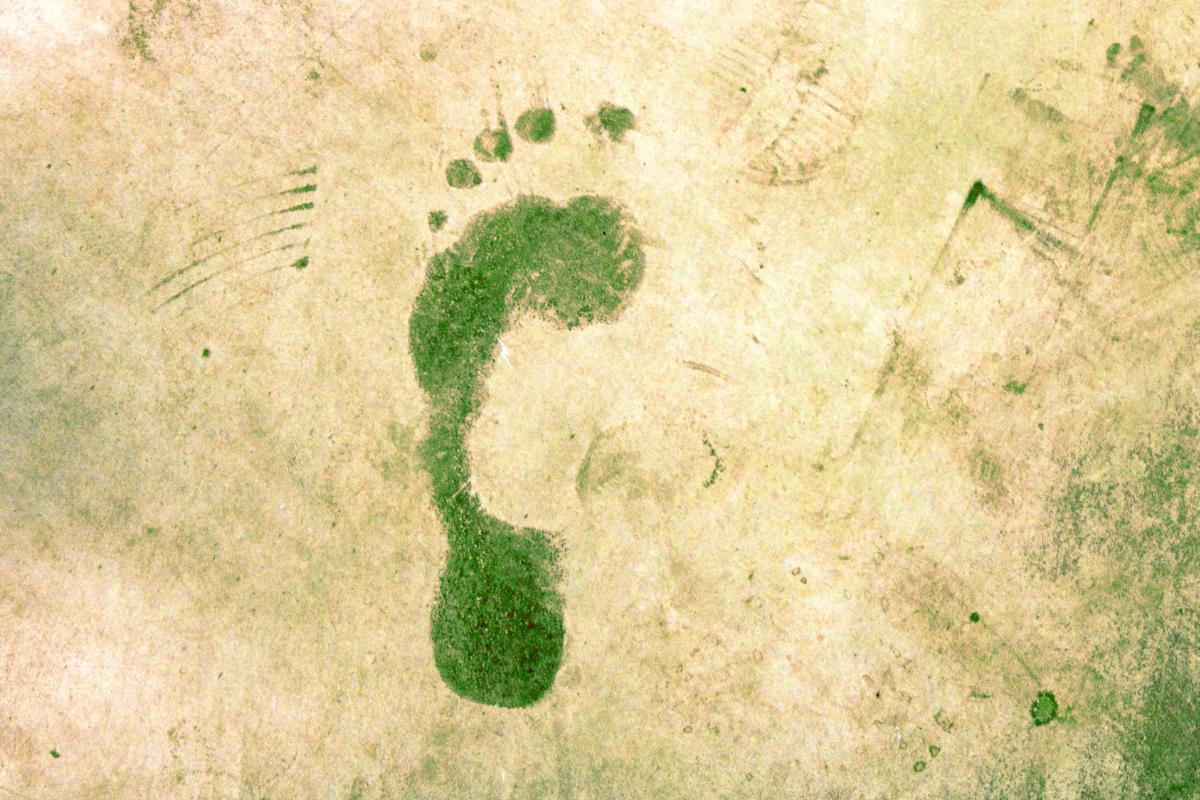 Cómo reducir la huella ecológica