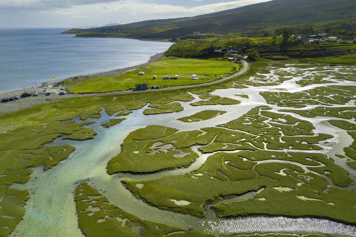 Delta: qué es, cómo se forma y tipos