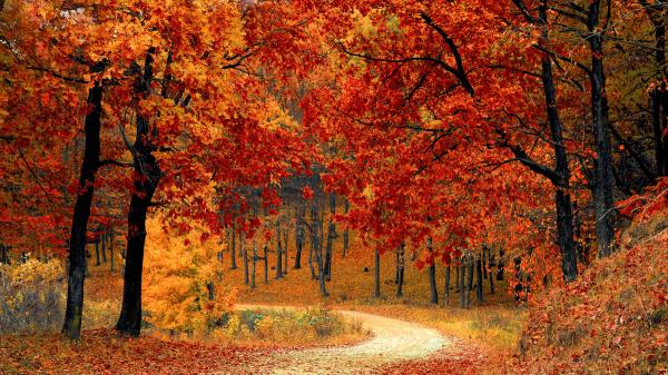 El otoño de 2026 empieza esta madrugada: la hora exacta del equinoccio y qué cambia desde ese momento - El otoño empieza el 23 de septiembre: esta es la hora exacta en España