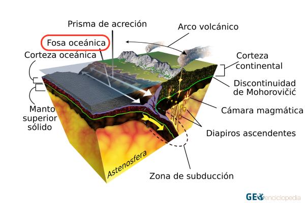 Fosas oceánicas: qué son, cómo se forman y ejemplos - Cómo se forman las fosas oceánicas