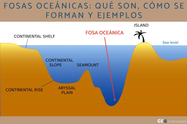 Fosas oceánicas: qué son, cómo se forman y ejemplos