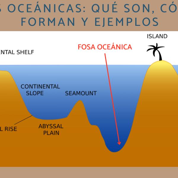 Diagrama De La Fosa De Las Marianas Cabecear Pedicab Gorra Que Son Las