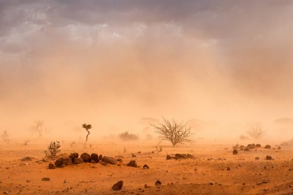 Lluvia de barro: qué es, por qué se produce y dónde es más común - ¿Por qué se produce la lluvia de barro?