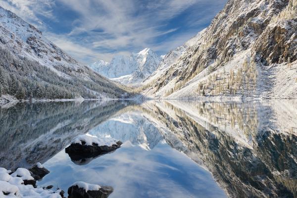 Siberia: qué es, dónde está, características, temperatura, flora y fauna