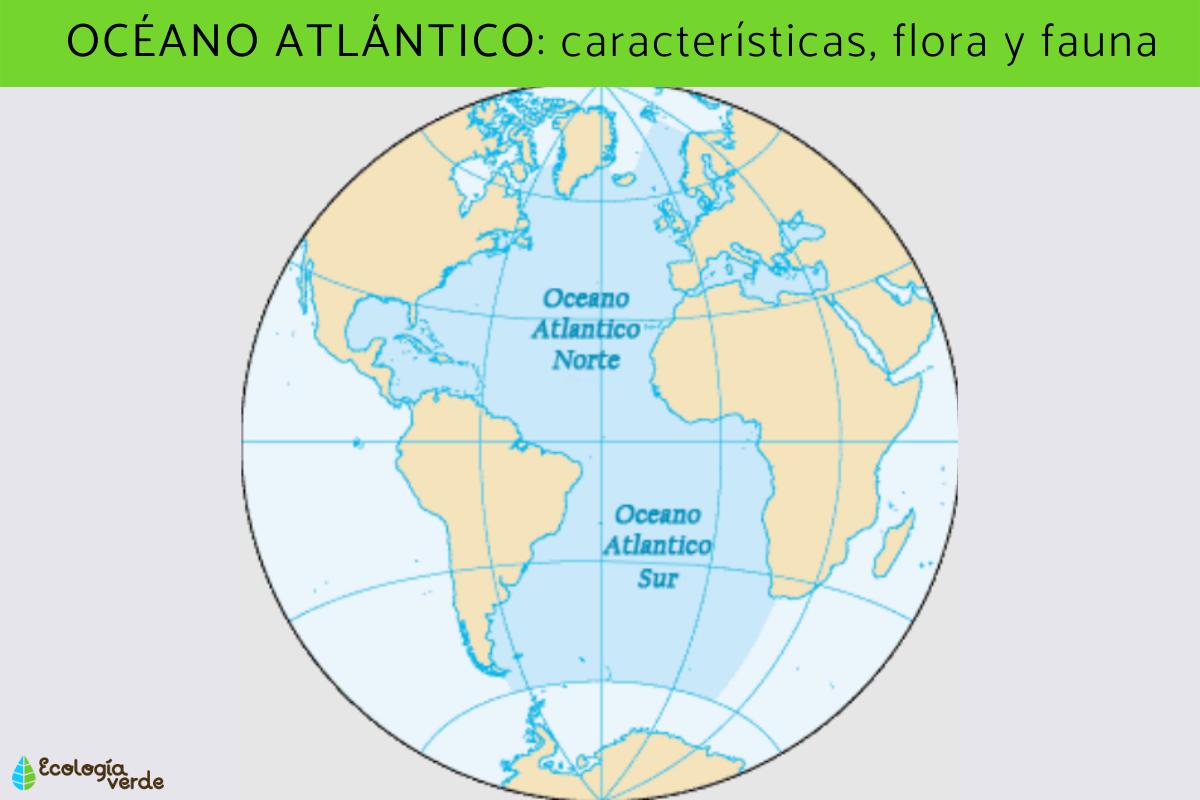 Océano Atlántico: características, flora y fauna
