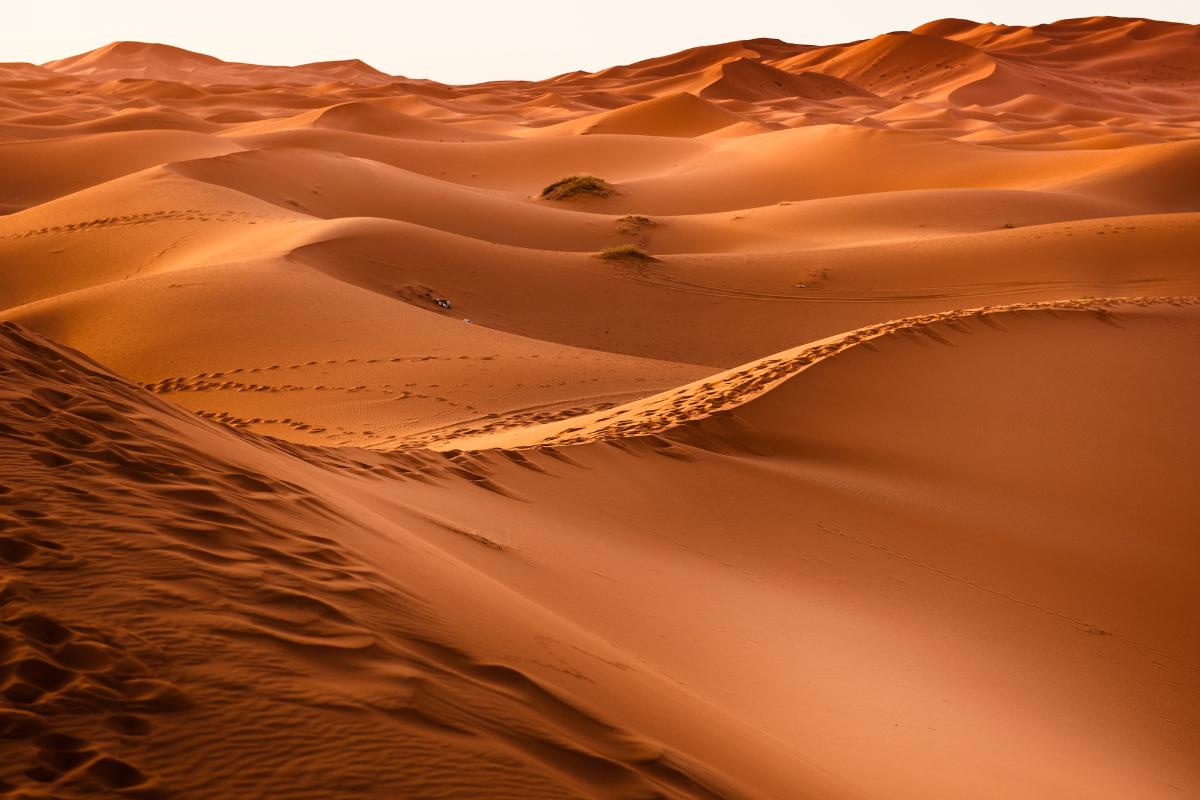 Dunas: qué son, cómo se forman, tipos e importancia