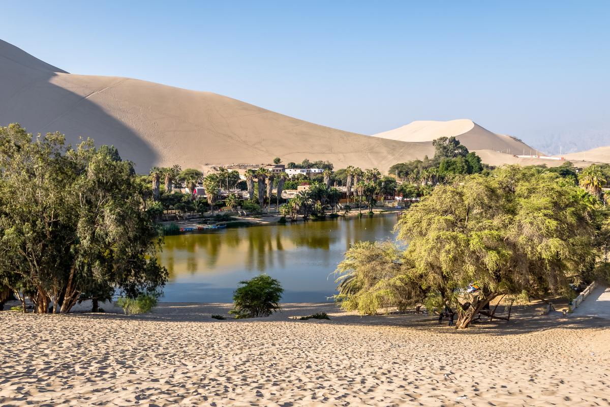 Oasis: qué es, cómo se forma y ejemplos