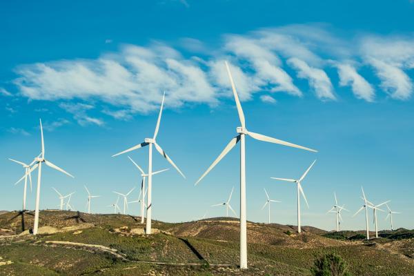Qué es el viento, tipos, cuándo se considera fuerte, con qué se mide y ejemplos - ¿Qué efectos tiene el viento en la vida y el medio ambiente?