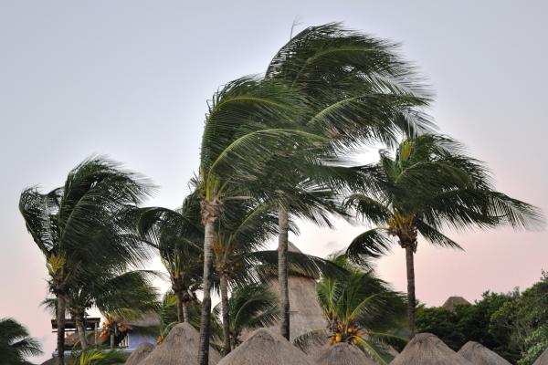 Qué es el viento, tipos, cuándo se considera fuerte, con qué se mide y ejemplos - ¿Qué es el viento y cómo se produce?