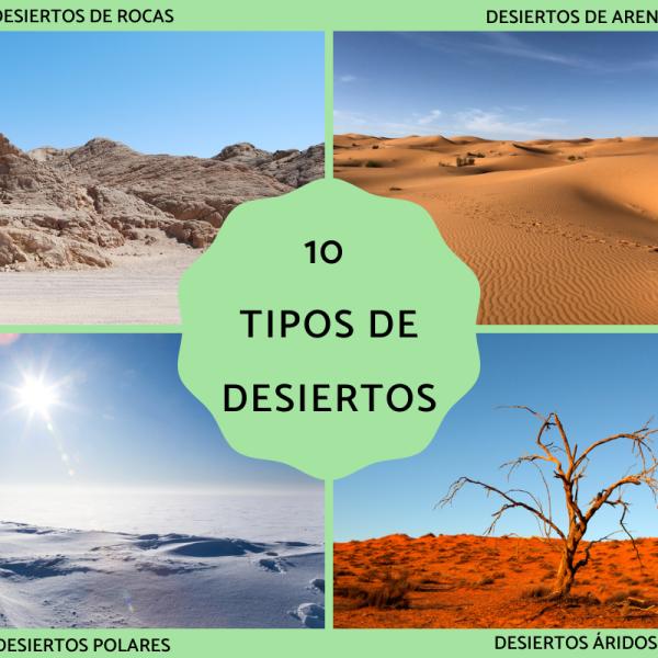 plantas y animales del desierto frio